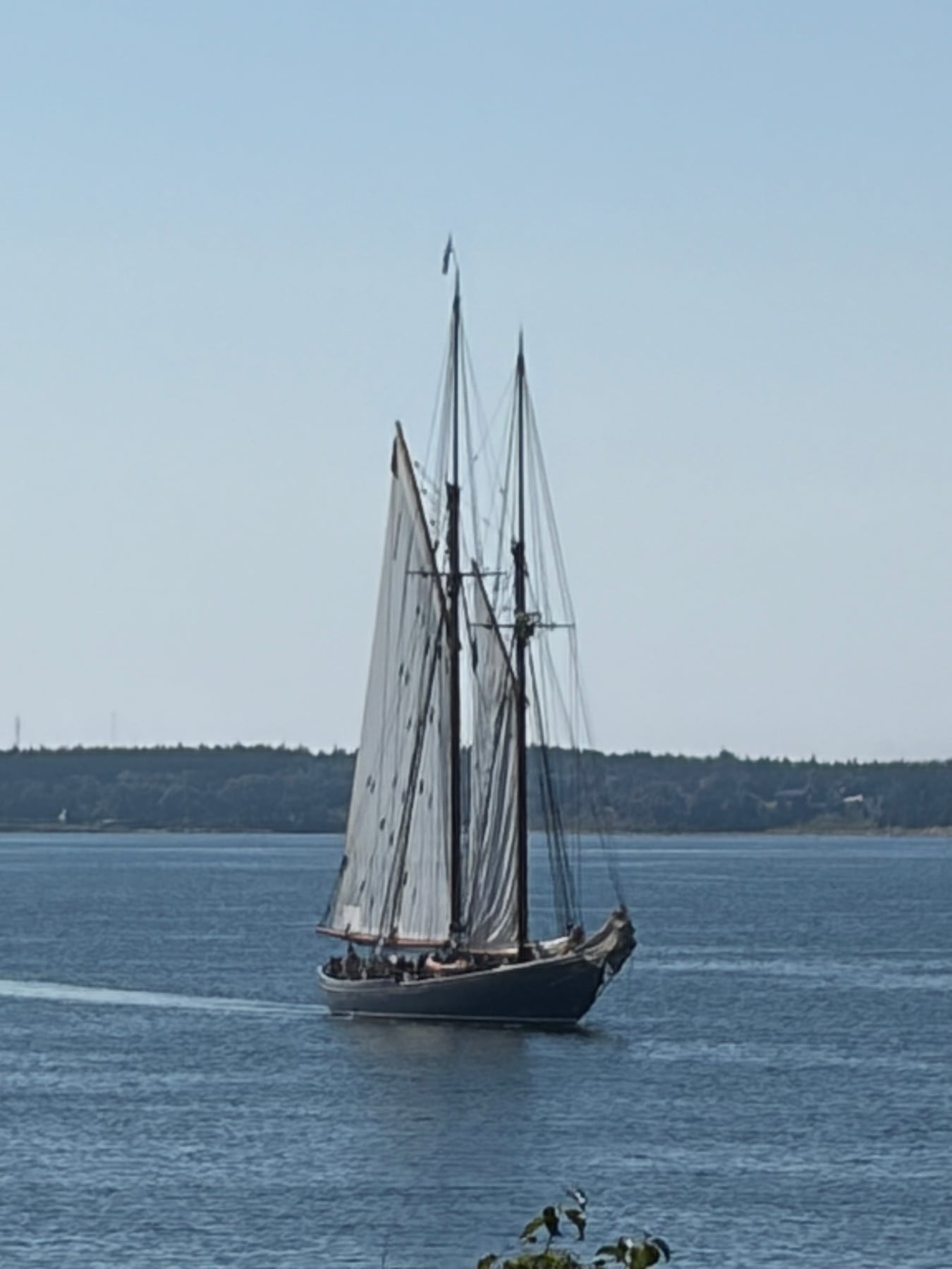 A Harbour Sail or Boat Tour. Visitor view of this Lunenburg landmark.